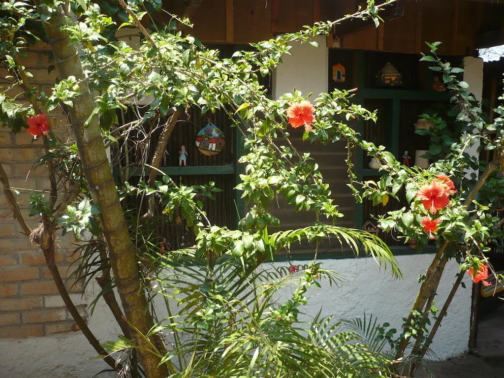 Caribbean Coral Inn Tela Εξωτερικό φωτογραφία